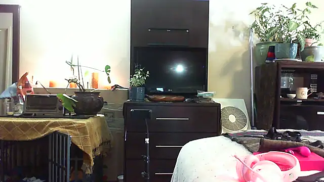 CeceilaMoon online show from July 14, 2026, 4:24 pm