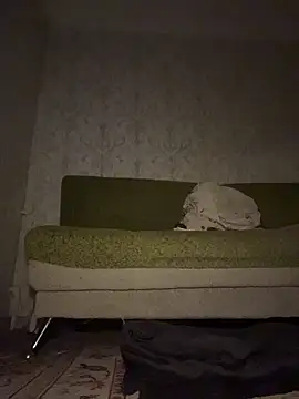 MissDasha online show from March 7, 2026, 5:40 pm