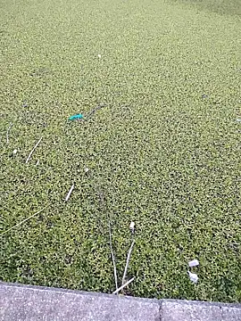 Snapshot of Eduardoxxx51 chatting on December 3, 2025, 10:20 pm Eduardoxxx51 online show from December 3, 2025, 10:20 pm