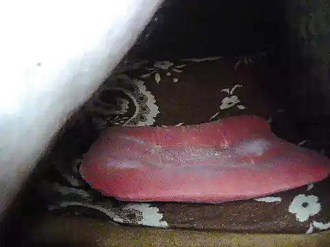 Snapshot of jerkingcroatia2 chatting on March 25, 2026, 4:12 am jerkingcroatia2 online show from March 25, 2026, 4:12 am