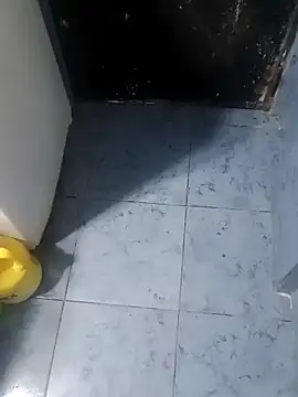 Chancho141414 online show from November 20, 2025, 11:03 pm