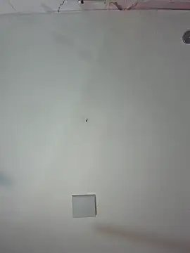 Snapshot of kiim_taaylor chatting on February 25, 2026, 11:32 am kiim taaylor online show from February 25, 2026, 11:32 am