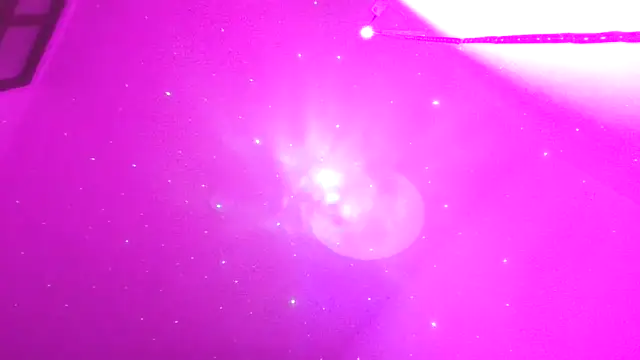 Tiramisu89 online show from March 29, 2026, 1:40 am