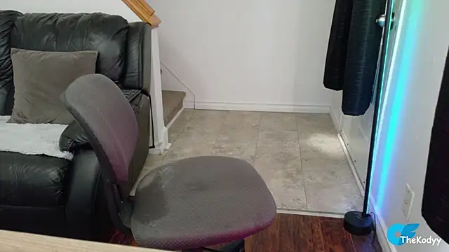 Thekodyy online show from April 18, 2026, 11:45 am