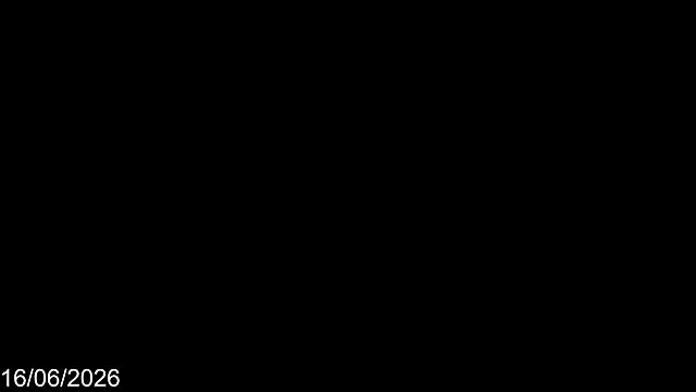 Bylie Hills online show from June 20, 2026, 9:53 pm