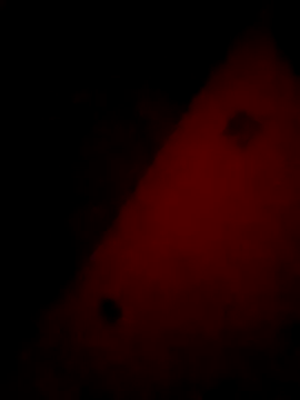 Mieto  online show from April 17, 2026, 3:20 am