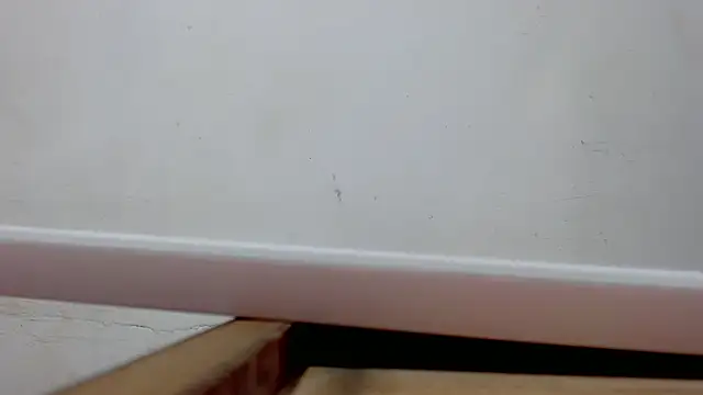 danilo302209 online show from March 10, 2025, 10:39 am