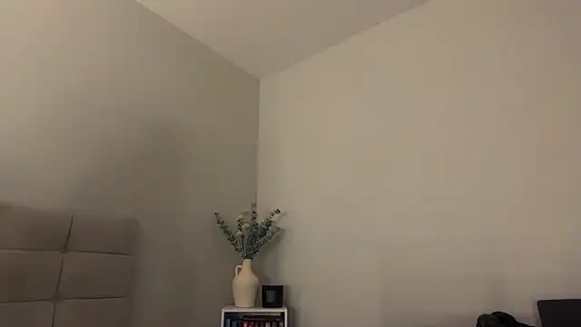 Snapshot of skyejde chatting on April 5, 2026, 9:43 pm skyejde online show from April 5, 2026, 9:43 pm