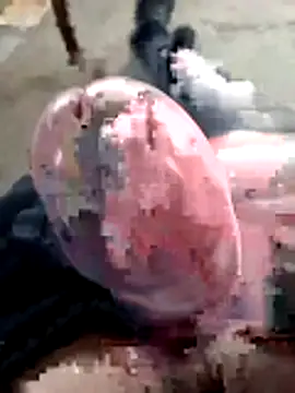 Snapshot of mar4oto1 chatting on March 14, 2026, 11:38 am mar4oto1 online show from March 14, 2026, 11:38 am