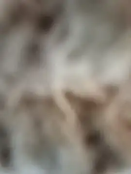 mauroxx08 online show from April 5, 2026, 3:19 pm