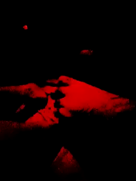 arimydari online show from February 20, 2026, 7:10 am