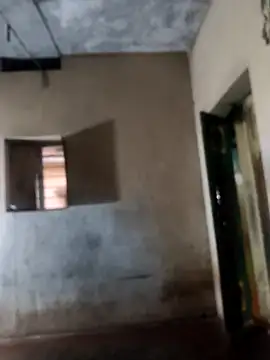 Snapshot of PolarFriend0 chatting on February 17, 2026, 12:57 pm PolarFriend0 online show from February 17, 2026, 12:57 pm