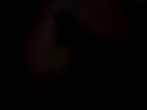 Vegefze online show from November 30, 2025, 11:33 am