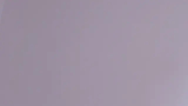 axel davis  online show from February 24, 2026, 3:57 pm