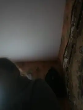 Romashka33011 online show from March 31, 2026, 8:16 am