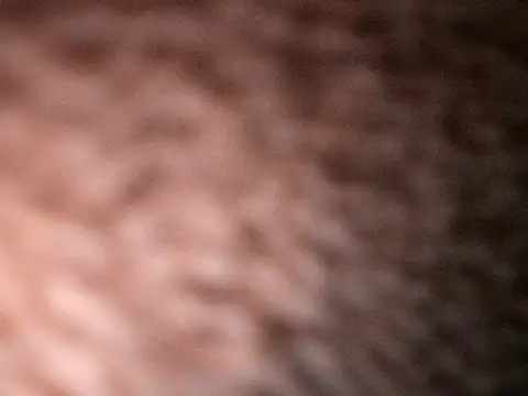 Milenvs online show from October 20, 2025, 7:53 am