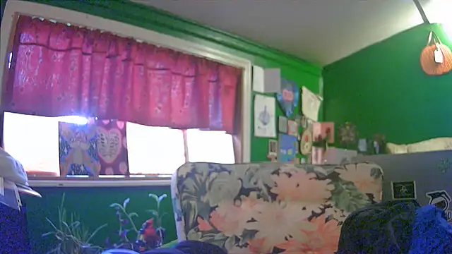 HippieDad333 online show from June 6, 2026, 11:43 pm