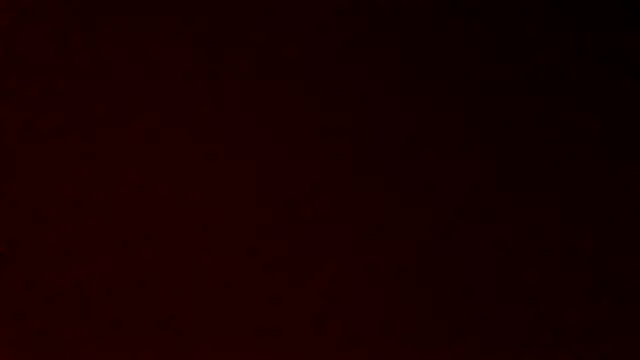 gatitachilena2 online show from April 23, 2026, 3:35 am