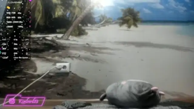 kimberd33 online show from February 26, 2026, 3:12 pm