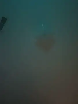 machineslut online show from June 15, 2026, 12:12 am