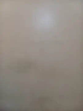 Snapshot of StormzyLeila chatting on December 1, 2025, 4:02 am StormzyLeila online show from December 1, 2025, 4:02 am