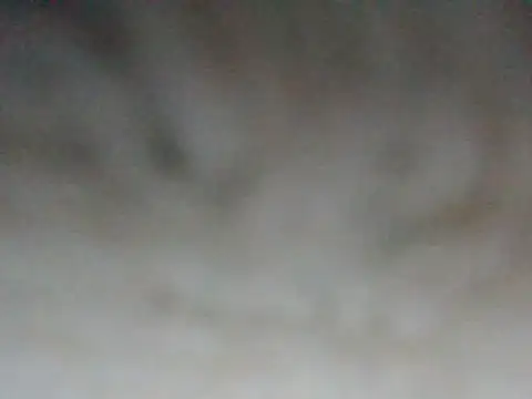 Snapshot of ilove90123 chatting on March 16, 2026, 8:22 pm ilove90123 online show from March 16, 2026, 8:22 pm