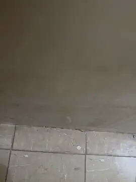 torchermachine online show from April 18, 2026, 7:07 pm