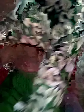 Snapshot of mimpake chatting on April 10, 2026, 8:21 am mimpake online show from April 10, 2026, 8:21 am