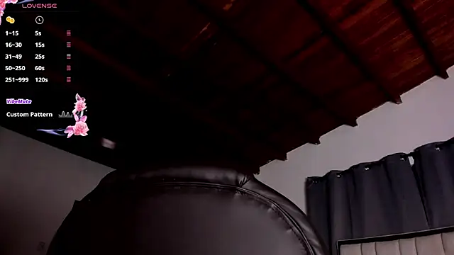 zafiro ziz online show from April 11, 2026, 1:04 pm