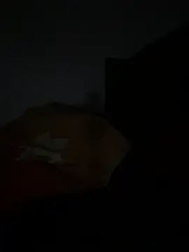 Snapshot of niceguys666 chatting on March 8, 2026, 4:43 pm niceguys666 online show from March 8, 2026, 4:43 pm