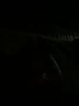 9inchesHire online show from April 13, 2026, 5:17 pm