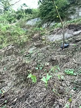 Rosa-x online show from April 21, 2026, 9:38 am