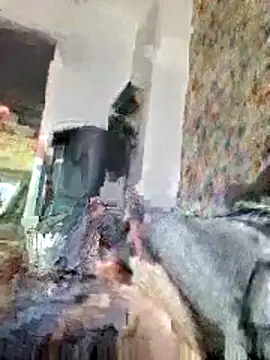 bellequeue147 online show from April 21, 2026, 10:55 am