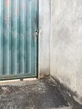 Showwspordezreais online show from April 23, 2026, 5:25 pm