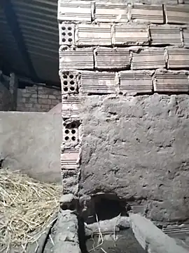 Nelly x online show from June 29, 2026, 12:38 pm