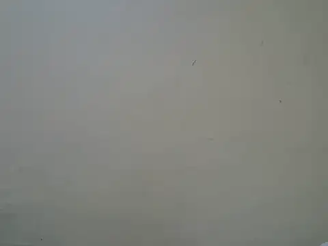 Talishabae online show from June 12, 2026, 6:38 pm