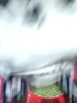 Bong sexy online show from June 16, 2026, 11:21 am