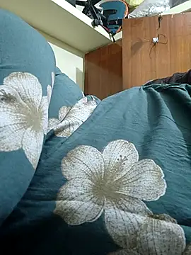 Jaanu Kannada Telgu online show from July 14, 2026, 2:00 am