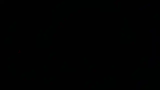 Snapshot of XXEBONYTEAZERXX chatting on March 8, 2026, 4:05 am XXEBONYTEAZERXX online show from March 8, 2026, 4:05 am
