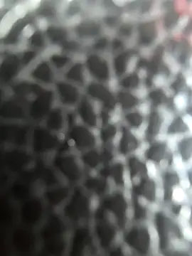 WhiteMeat069 online show from April 14, 2026, 8:14 pm