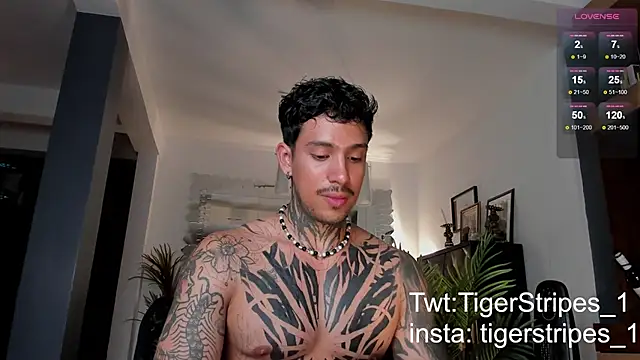 Snapshot of TigerStripes1_ chatting on February 28, 2025, 12:43 am TigerStripes1 online show from February 28, 2025, 12:43 am