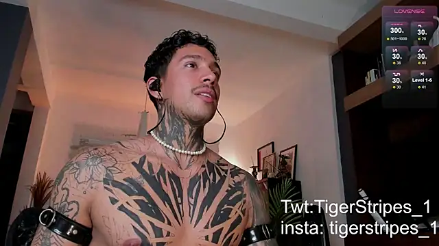 Snapshot of TigerStripes1_ chatting on February 24, 2025, 11:19 pm TigerStripes1 online show from February 24, 2025, 11:19 pm