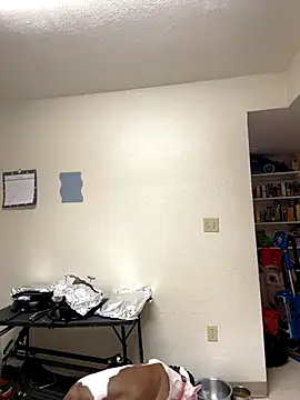 Snapshot of LacieStar chatting on December 1, 2024, 8:58 pm LacieStar online show from December 1, 2024, 8:58 pm