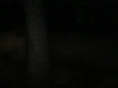 Amalgh6 online show from October 31, 2025, 6:04 pm