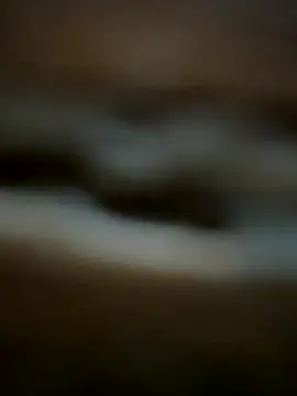 buodiculo online show from October 29, 2025, 7:29 am