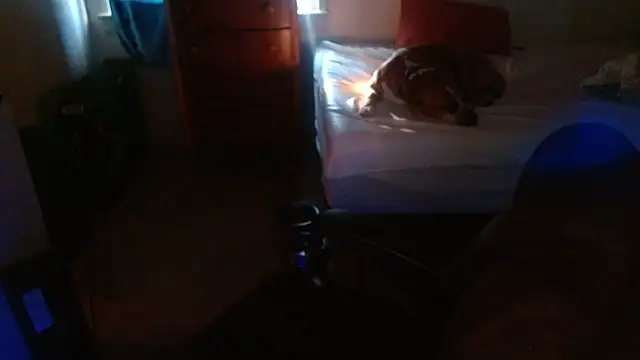 DADDY KANE8--- online show from January 17, 2026, 9:29 pm