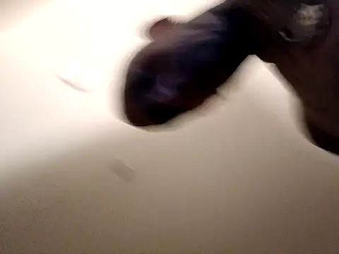 Snapshot of doitalltogether chatting on September 9, 2025, 1:31 pm doitalltogether online show from September 9, 2025, 1:31 pm