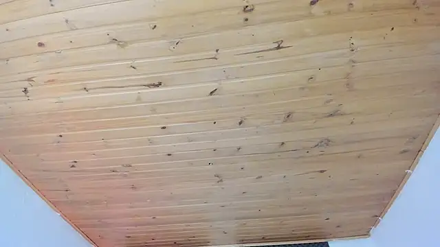 Snapshot of cristal__hot_1 chatting on March 18, 2025, 4:07 am cristal hot 1 online show from March 18, 2025, 4:07 am