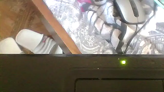 ShawnaAdams online show from February 19, 2026, 10:01 am