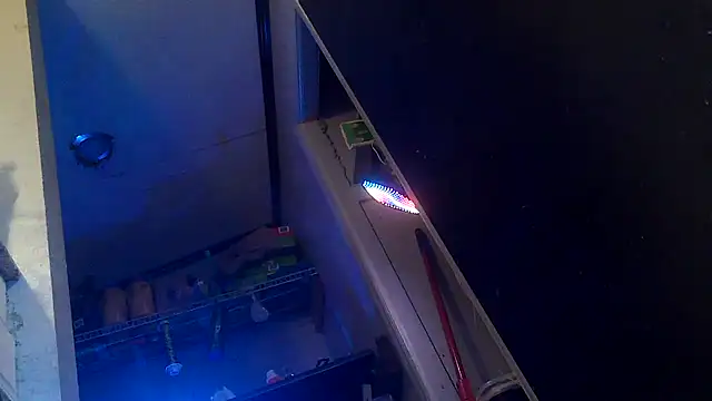 Snapshot of Bi_curious86 chatting on November 1, 2025, 10:03 pm Bi curious86 online show from November 1, 2025, 10:03 pm